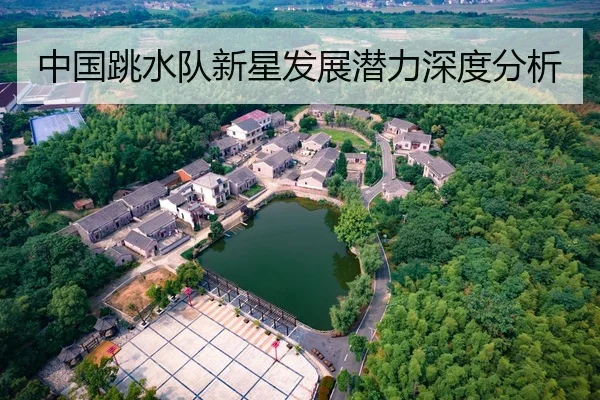 中国跳水队新星发展潜力深度分析