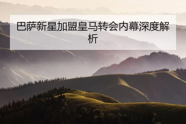 ba-sa-xin-xing-jia-meng-huang-ma-zhuan-hui-nei-mu-shen-du-jie-xi-2-671.jpg