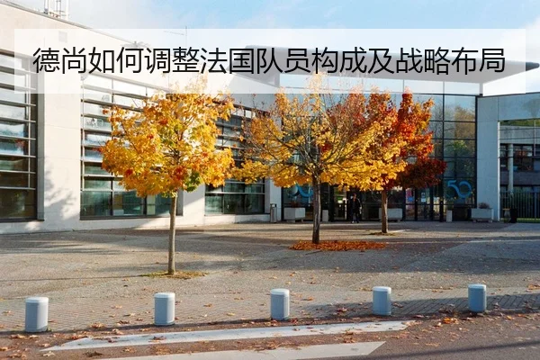 德尚如何调整法国队员构成及战略布局