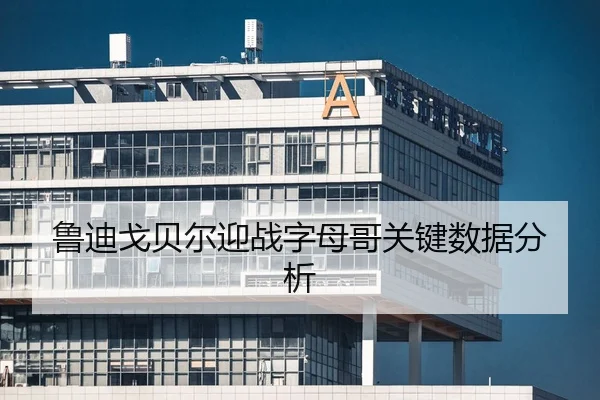 鲁迪戈贝尔迎战字母哥关键数据分析