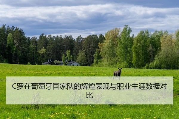 luo-zai-pu-tao-ya-guo-jia-dui-de-hui-huang-biao-xian-yu-zhi-ye-sheng-ya-shu-ju-dui-bi-2-185.jpg