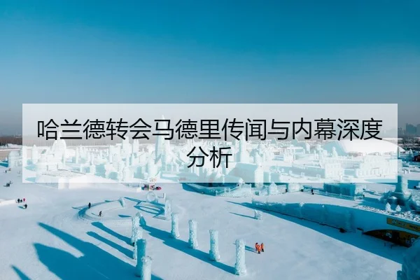 哈兰德转会马德里传闻与内幕深度分析